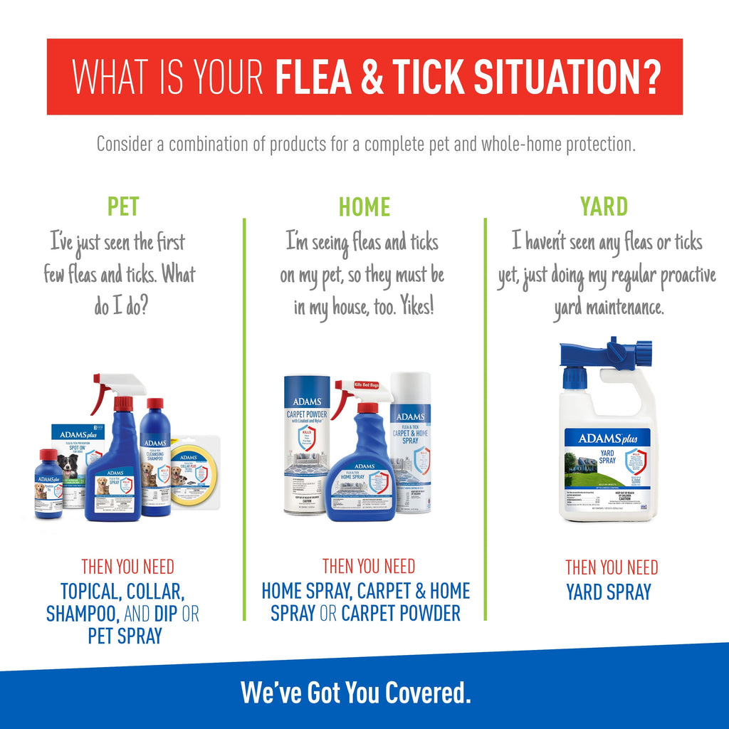 ADAMS Plus Flea & Tick Foaming Shampoo & Wash - 2 Pack