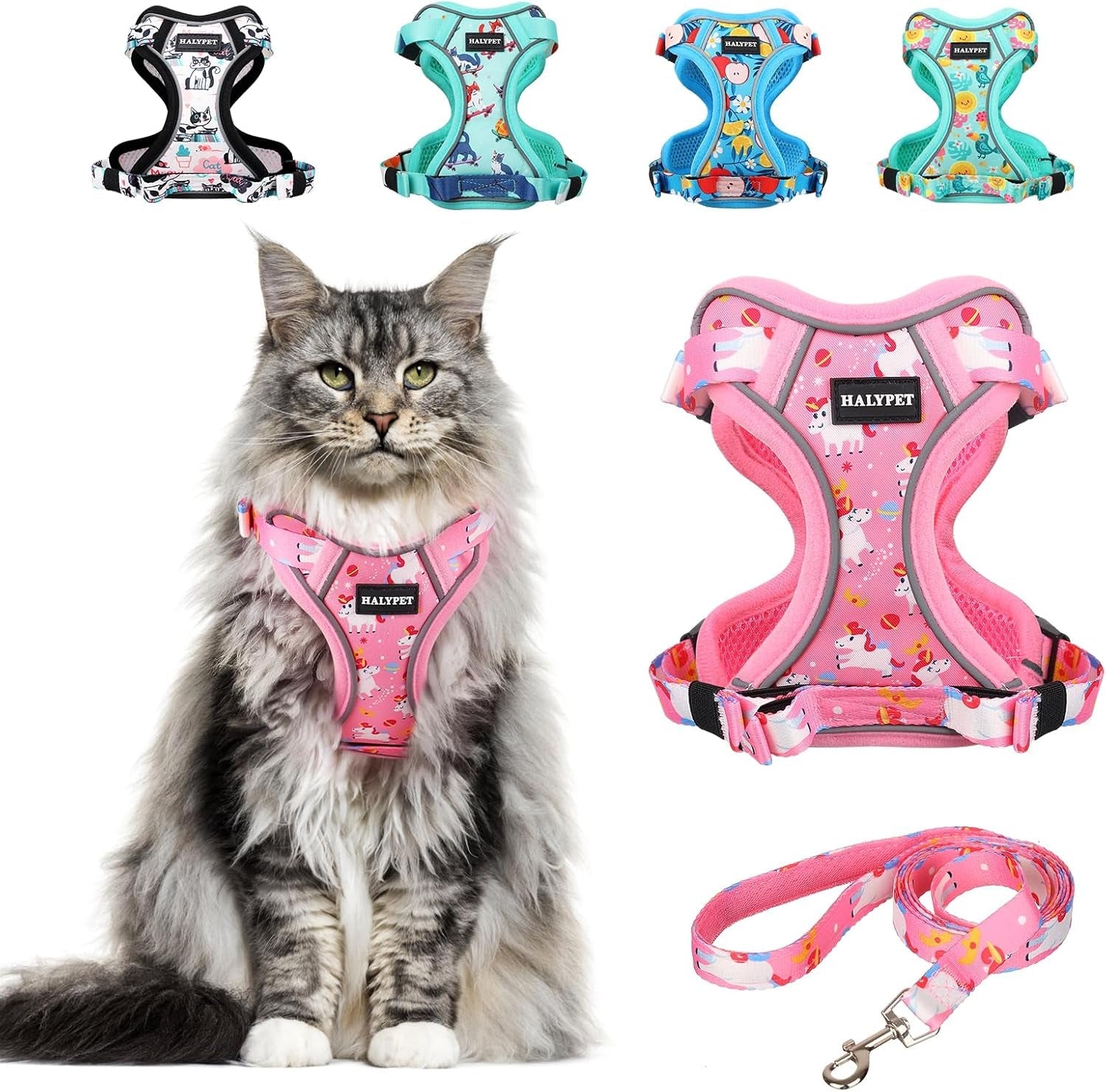 Cat Harness and Leash Set
