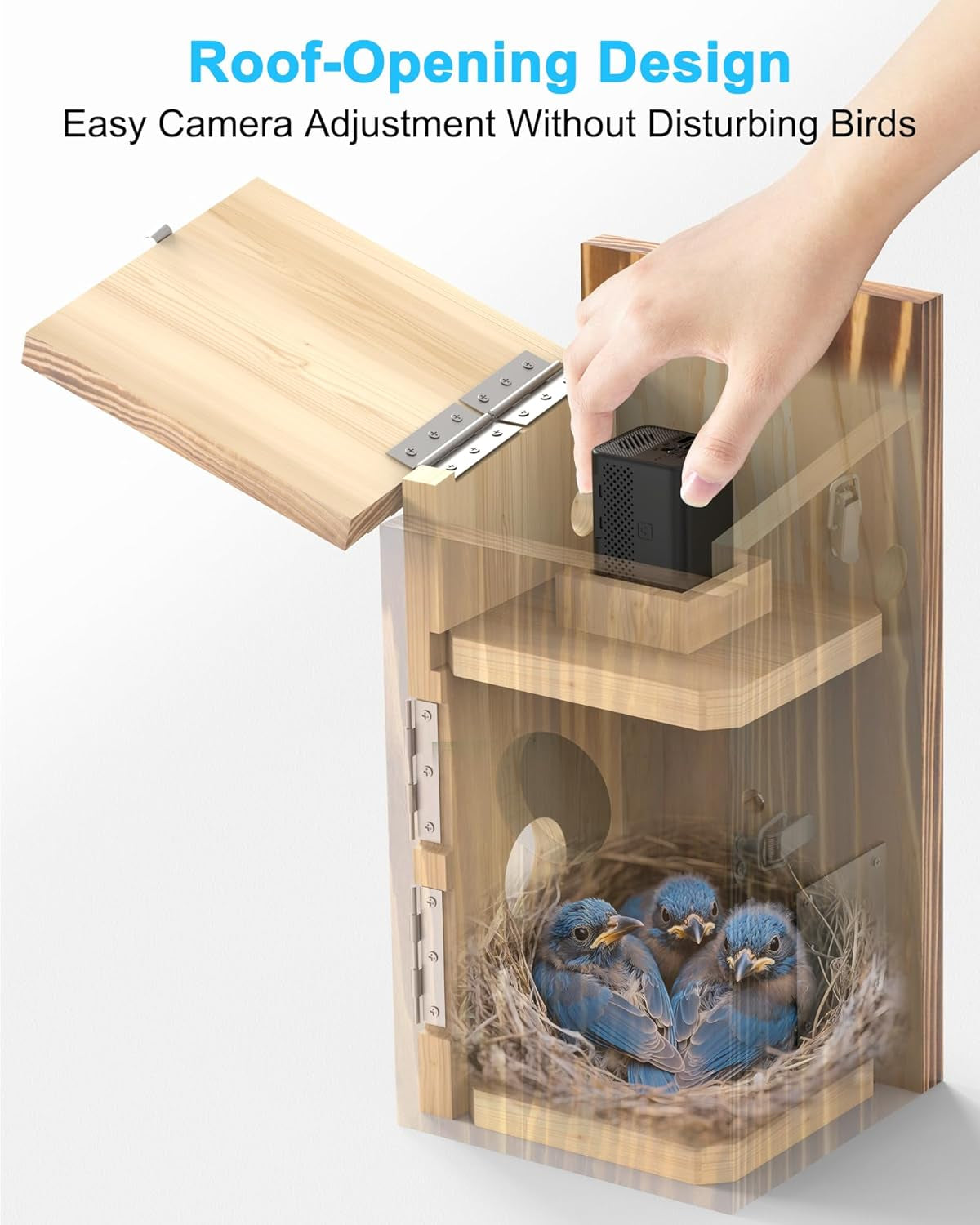 Solar Powered Smart Birdhouse  Camera