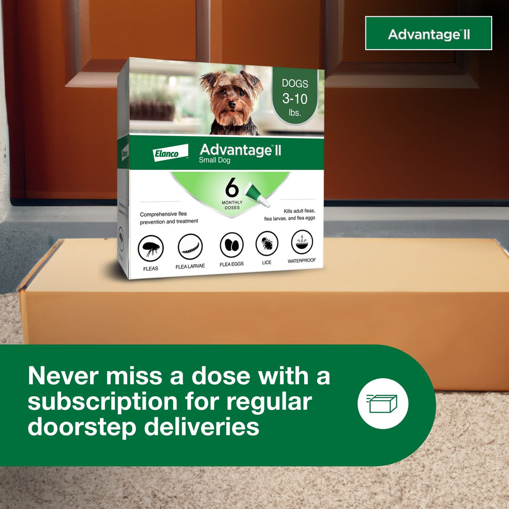 Flea Prevention for Small Dogs 3-10 Lbs / 6-Monthly Treatments