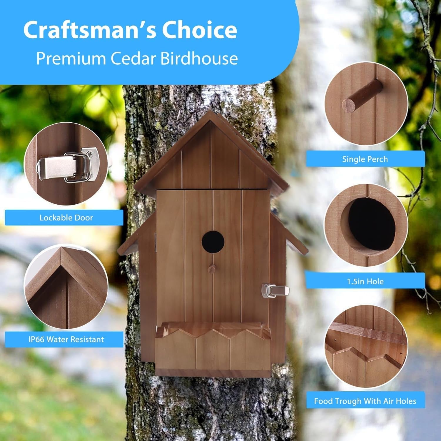 Nest Monitoring Birdhouse Camera