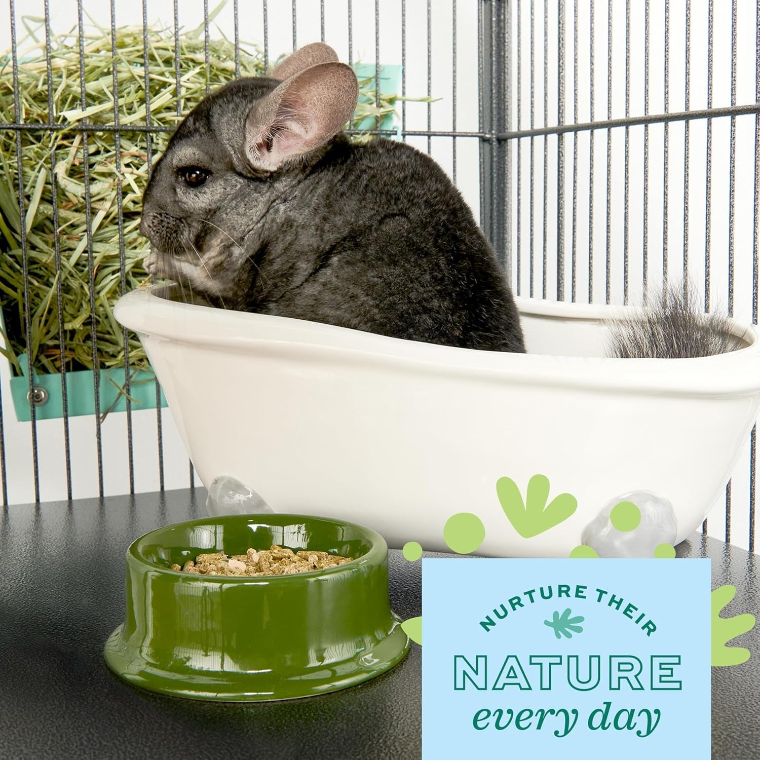 Chinchilla Dust Bath