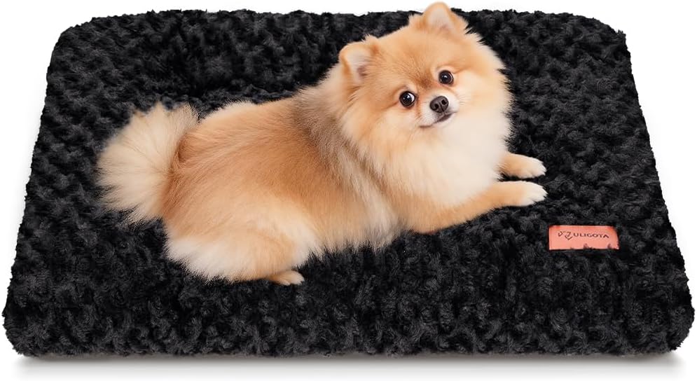 Plush & Washable Kennel Mat / 24x18