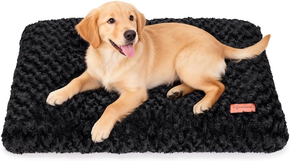 Plush & Washable Kennel Mat / 24x18