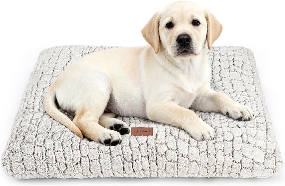 Plush & Washable Kennel Mat / 24x18