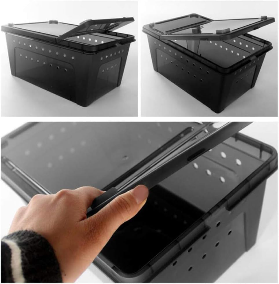 Portable Reptile Terrarium