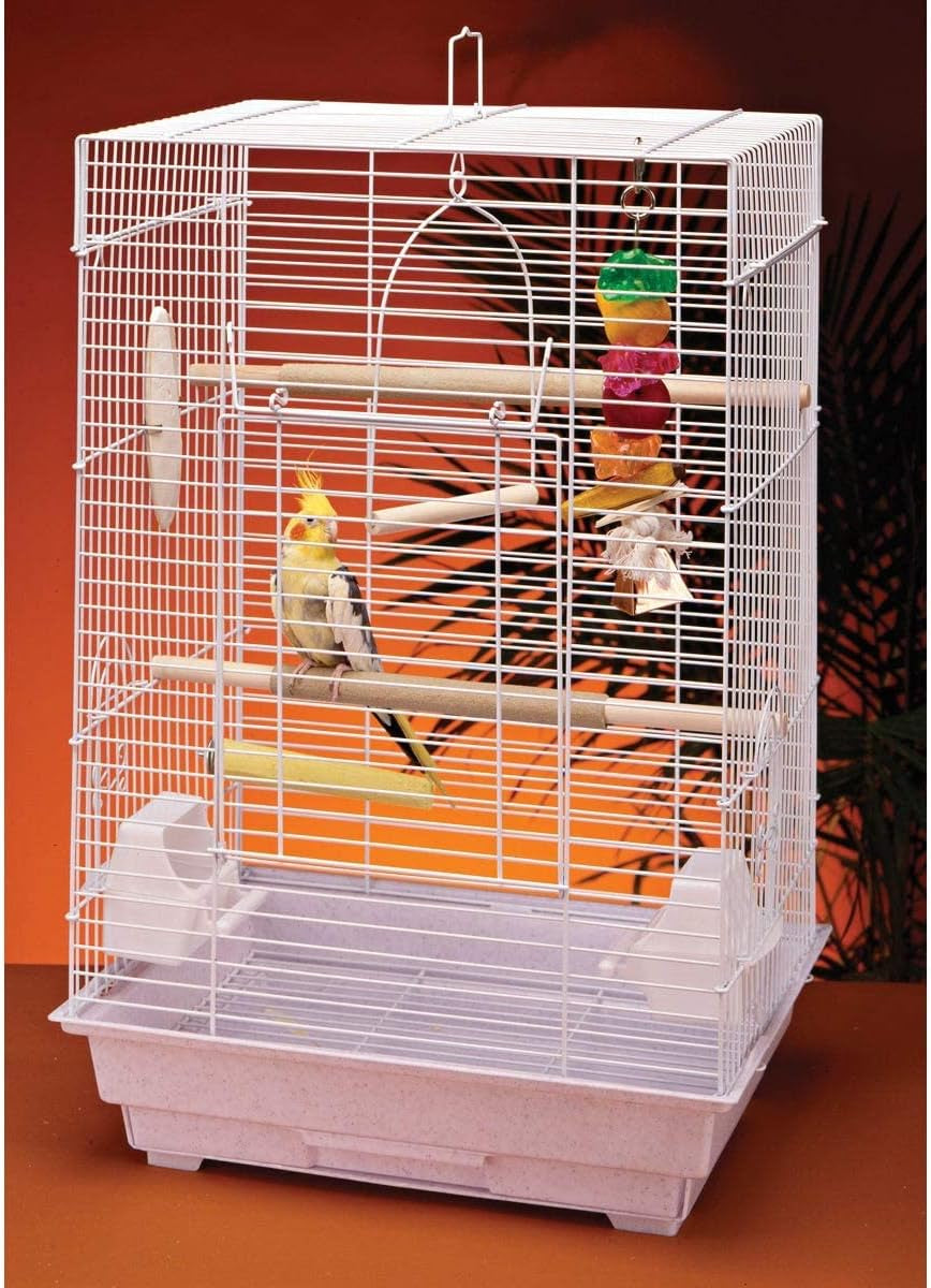 Cockatiel & Small Parrot Starter Kit