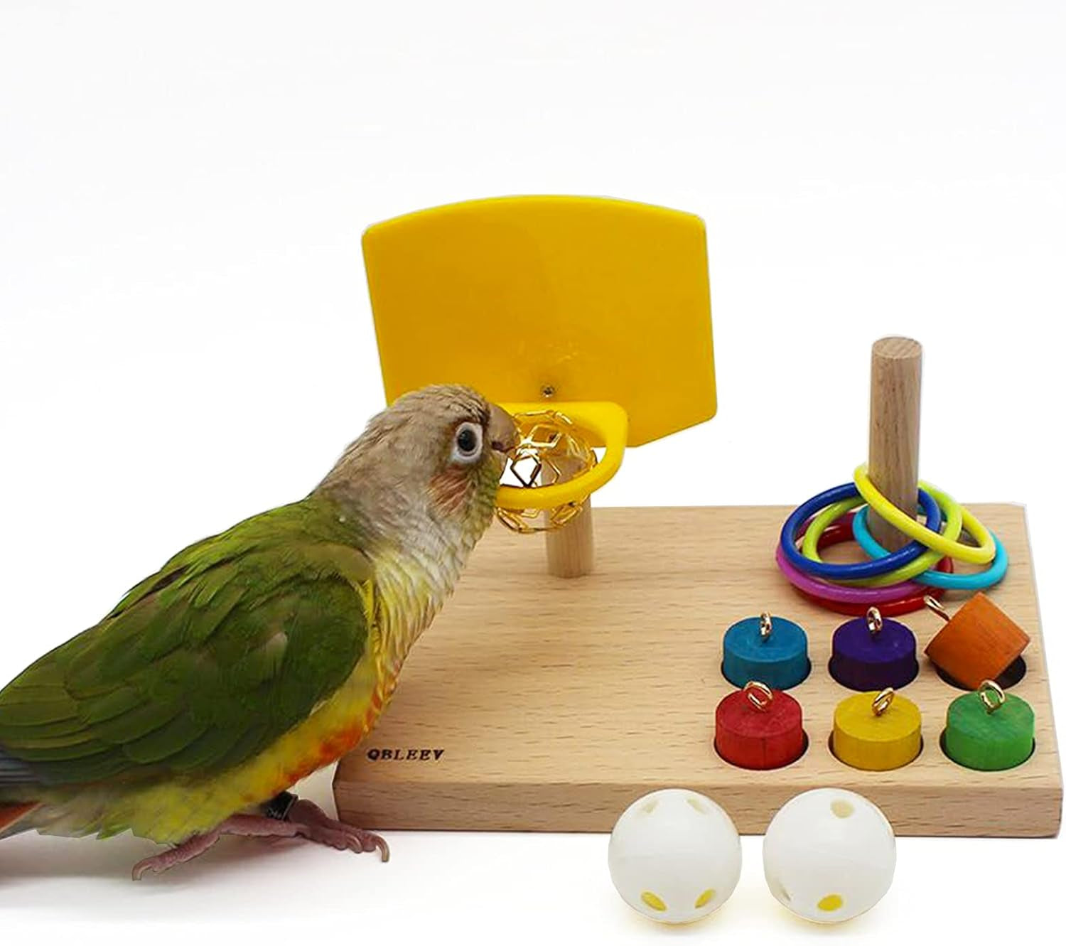 Bird Toys for Budgies and Parrots
