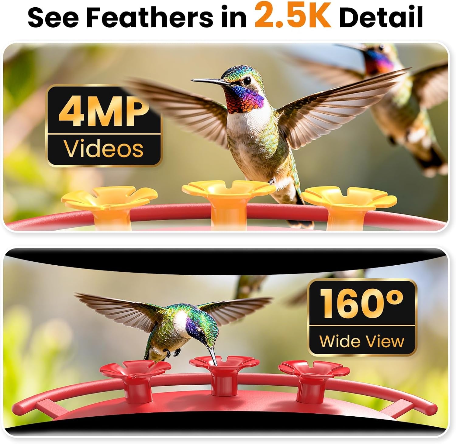 Solar Hummingbird Feeder with Camera