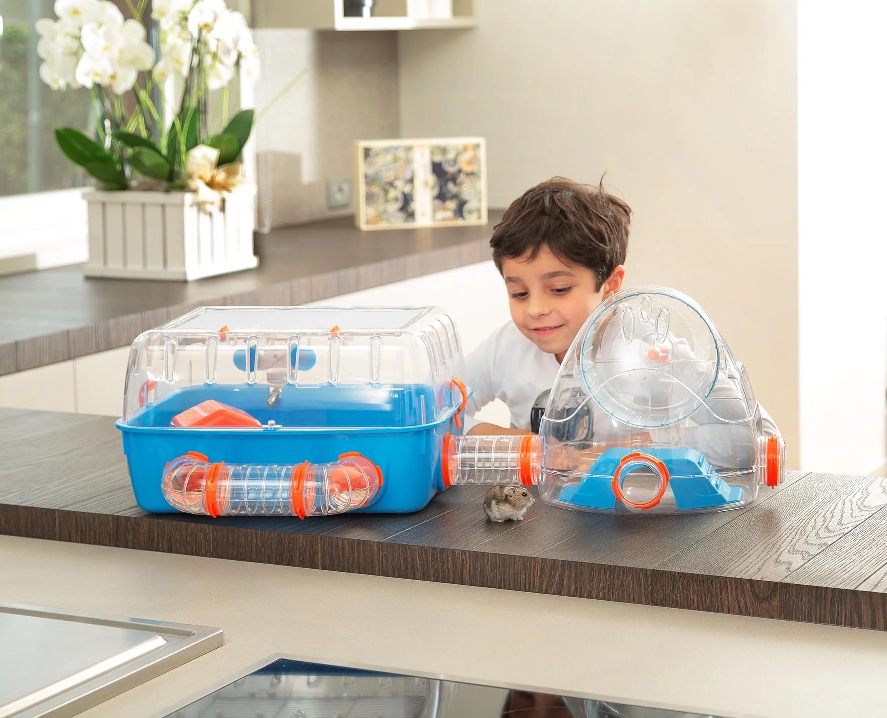 Combi 2 Starter Hamster Cage