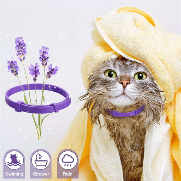 Pet Calming Collar
