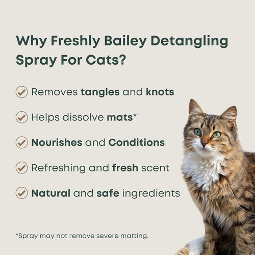 Cat Detangling Leave In Conditioner / 16oz