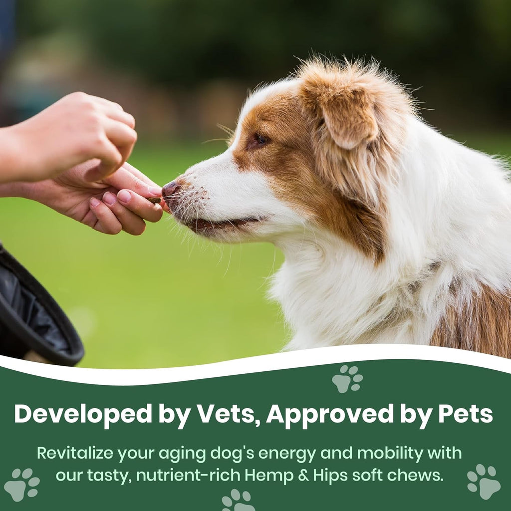 Hip Joint Supplement for Large Dogs