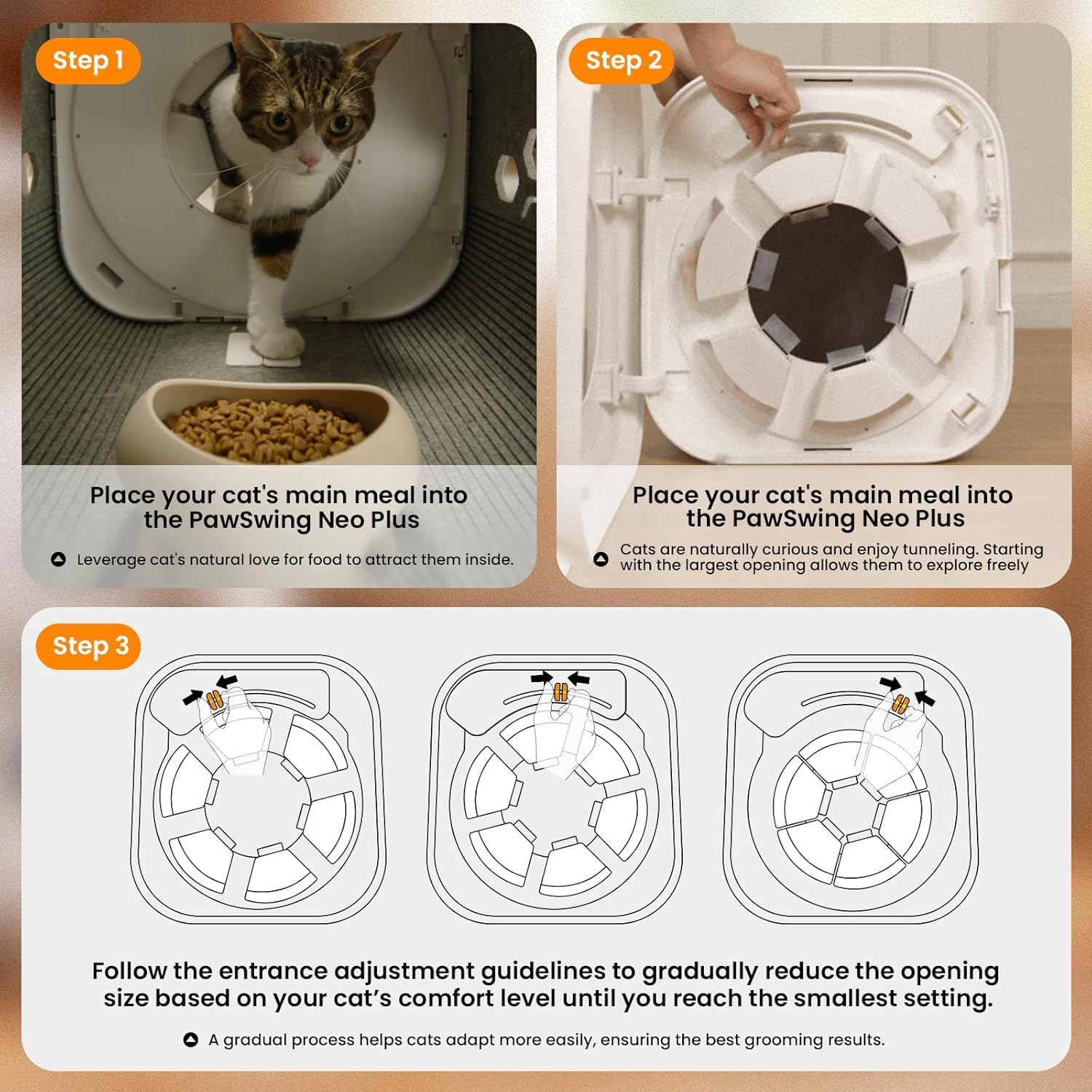 360* Brush Grooming Box for Cats