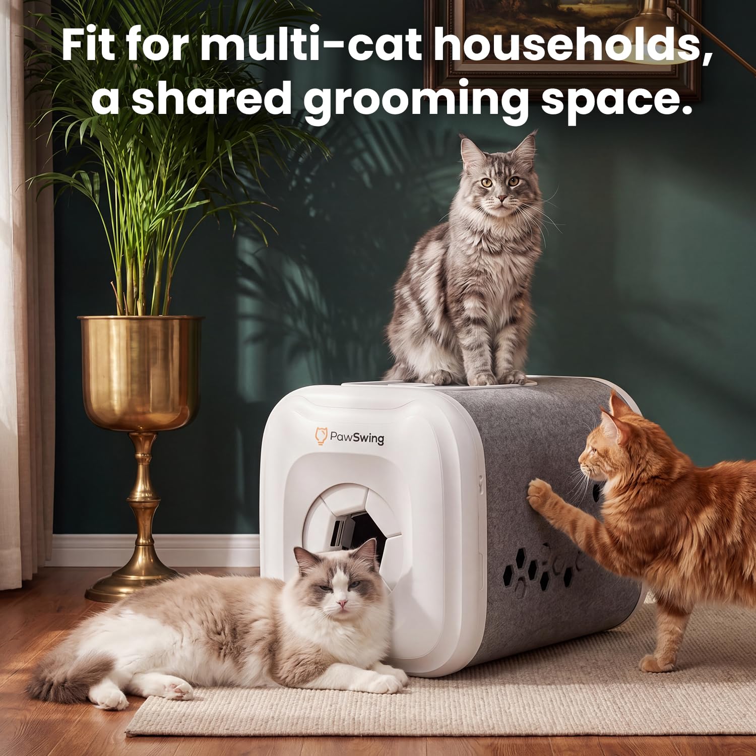 360* Brush Grooming Box for Cats