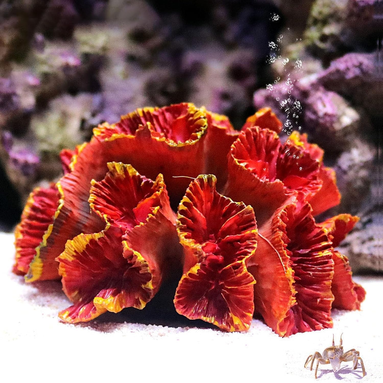 Coral Decor for Fish Tank