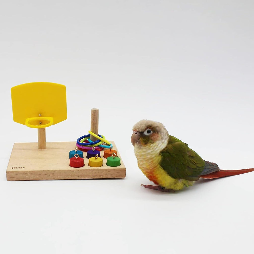 Bird Toys for Budgies and Parrots