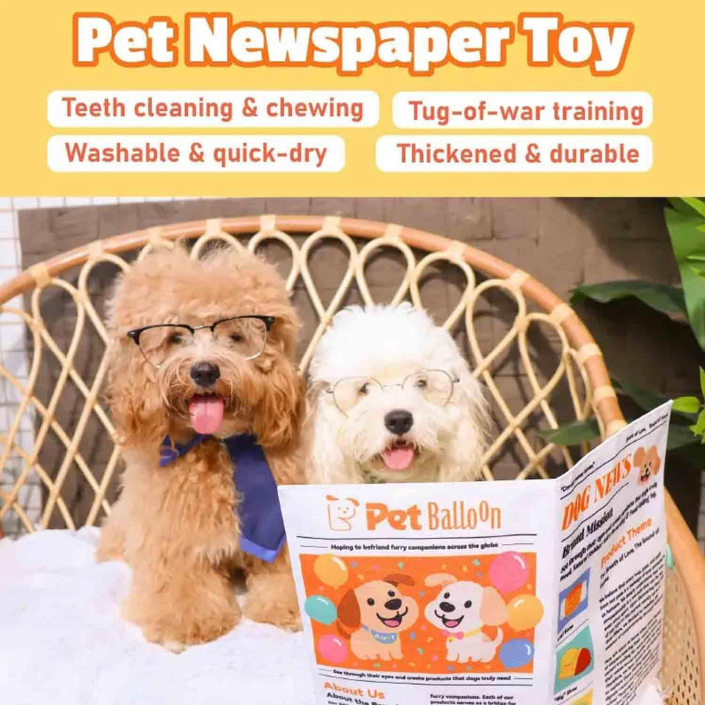 Indestructible Newspaper Dog Toy / 2-Pack