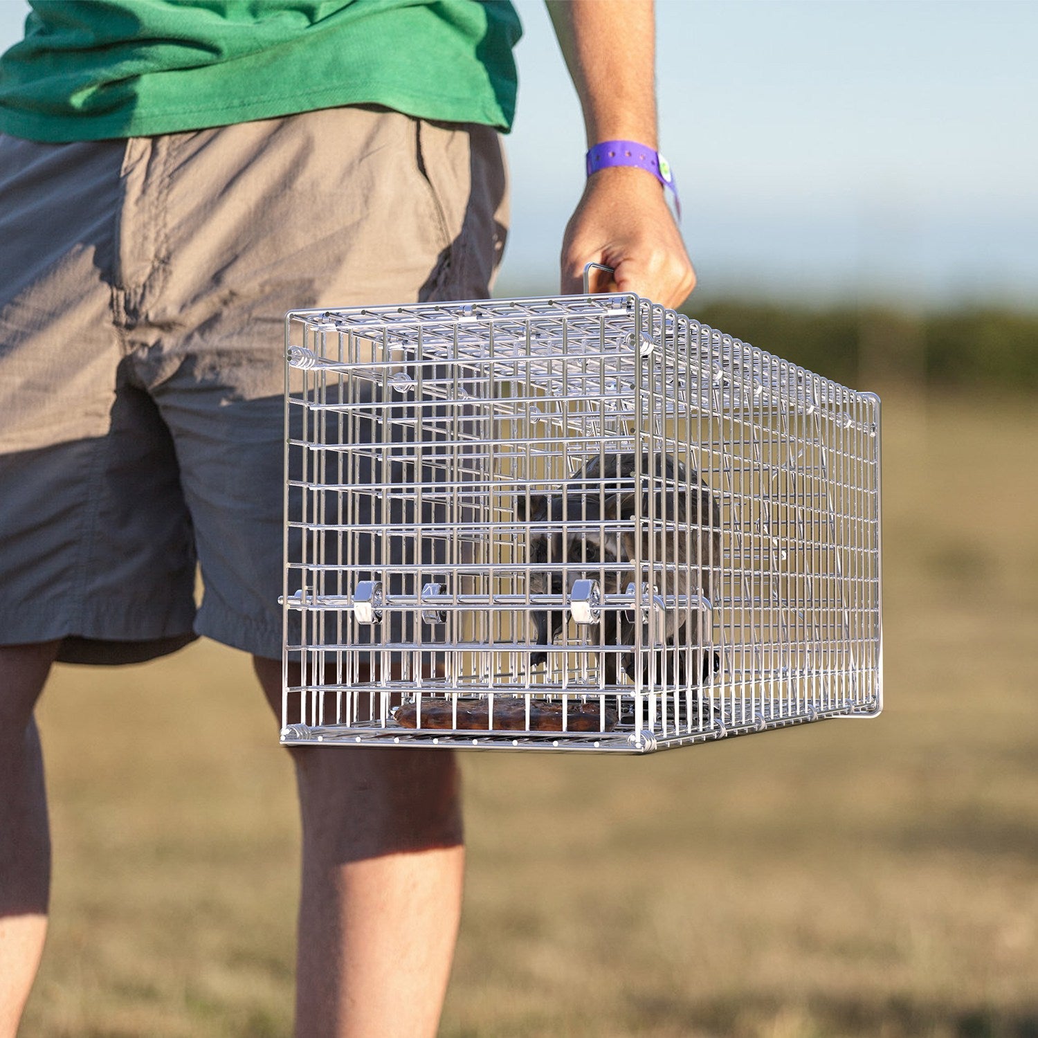 Live Humane Animal Trap
