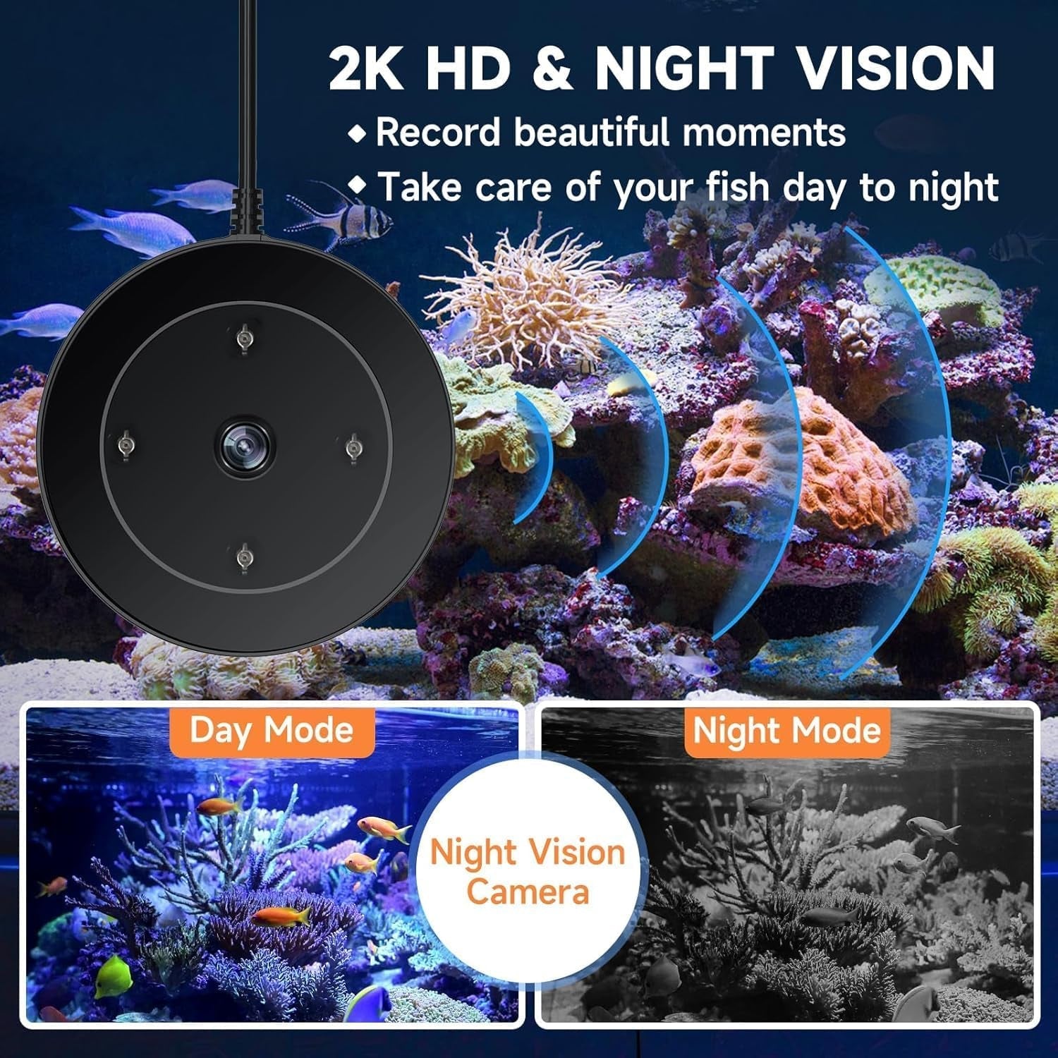 Automatic Fish Feeder with Camera