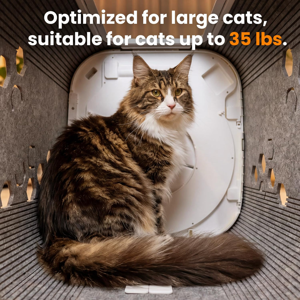 360* Brush Grooming Box for Cats