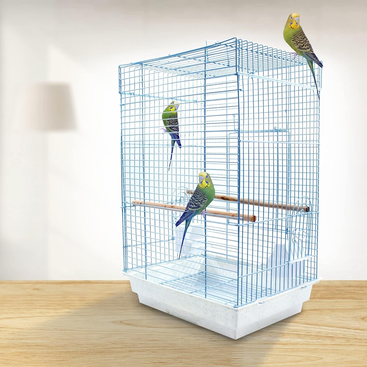 Cockatiel & Small Parrot Starter Kit