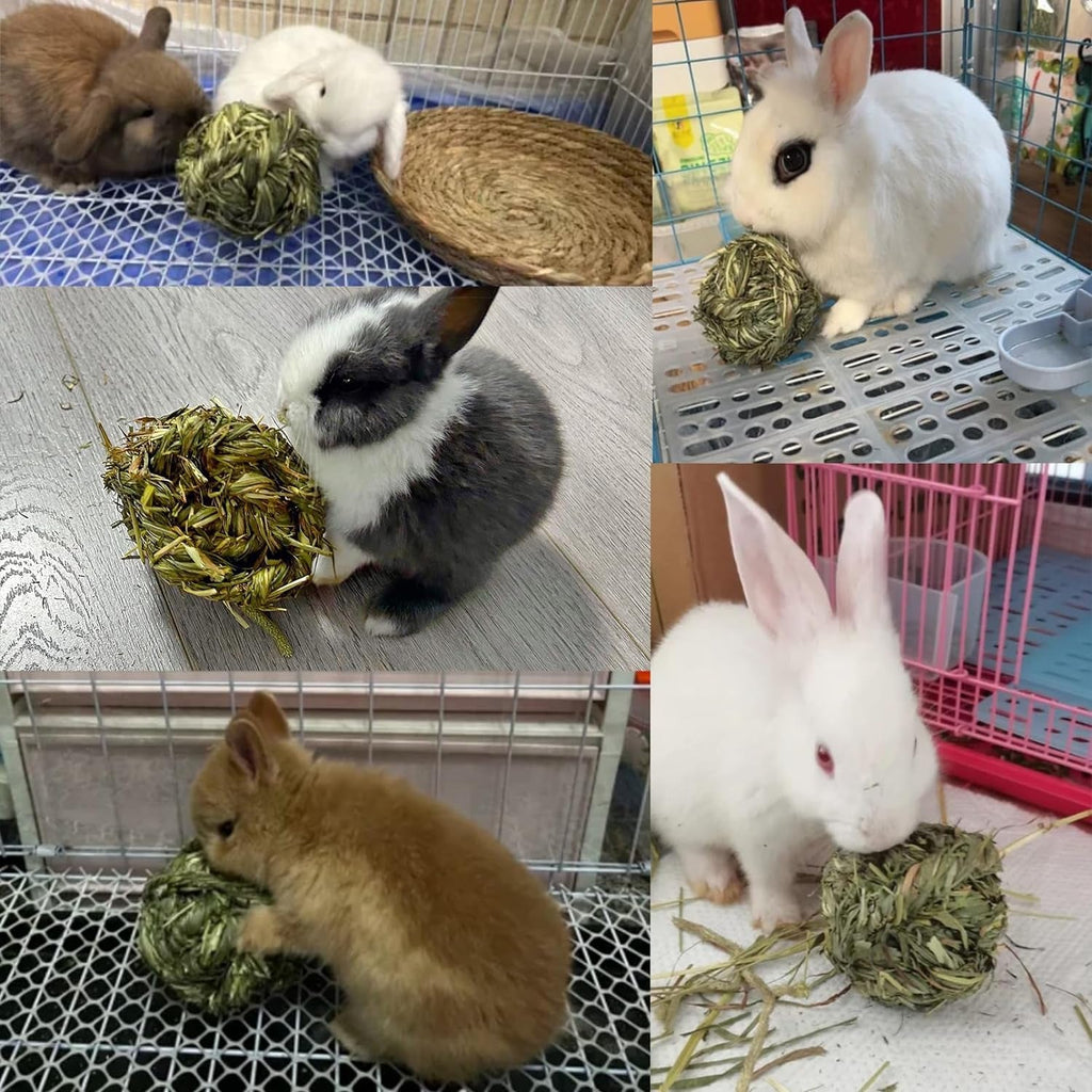 Timothy Grass Chew Ball for Bunnies, Hamsters, and Guinea Pigs! 🐰🐹🥳