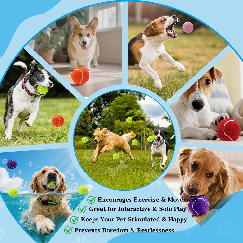 Tennis Balls For Dogs