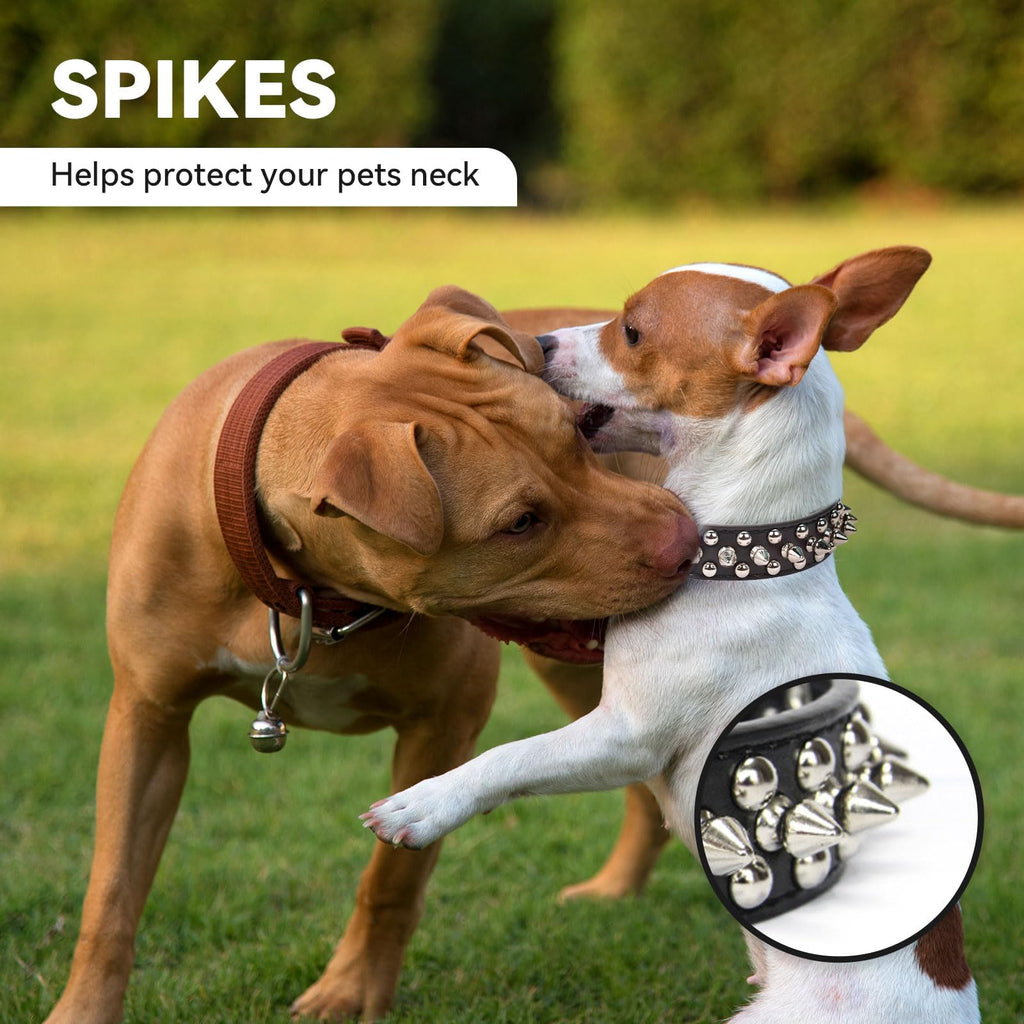 Adjustable Soft Padded Studded Puppy / Small Dog Collars