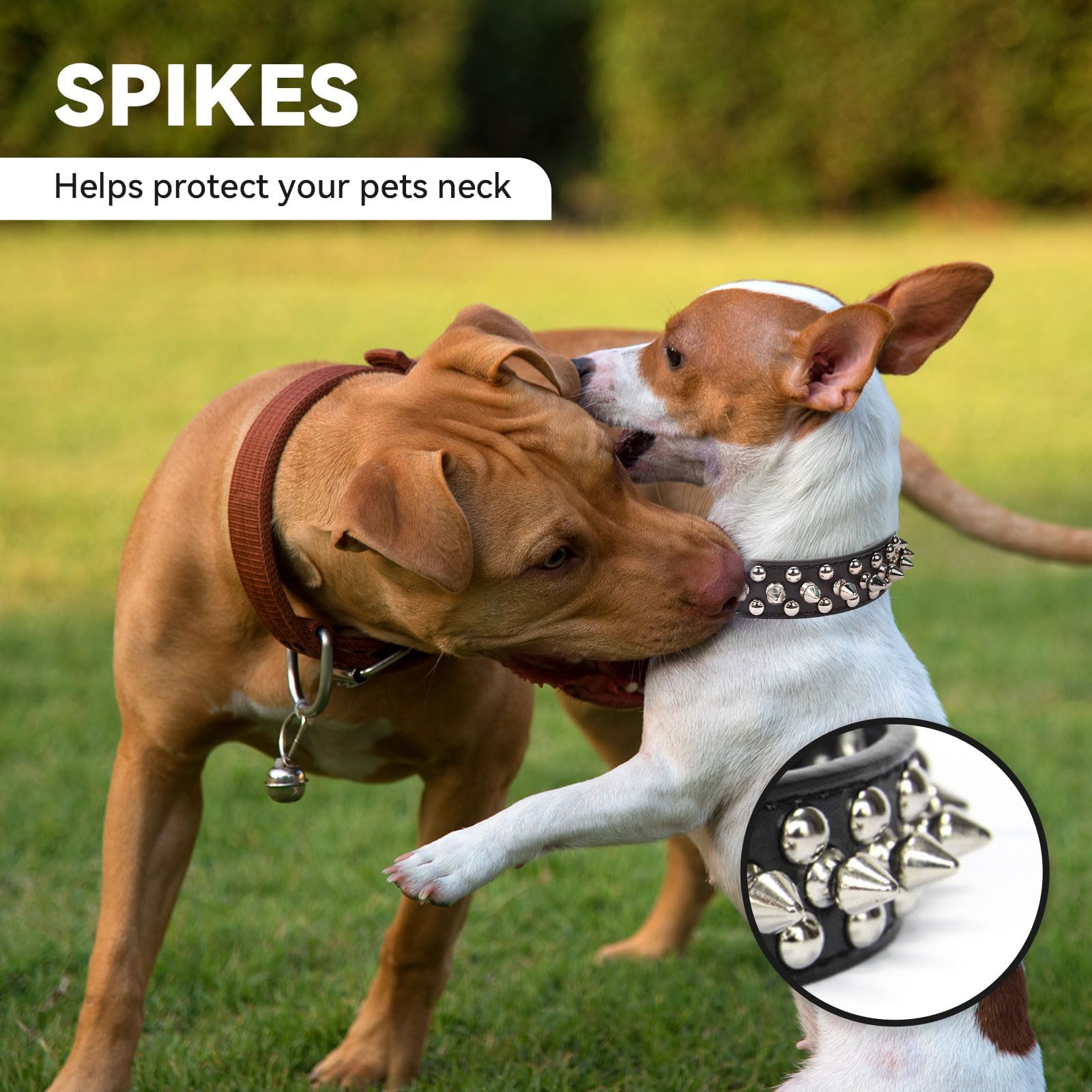 Adjustable Soft Padded Studded Puppy / Small Dog Collars