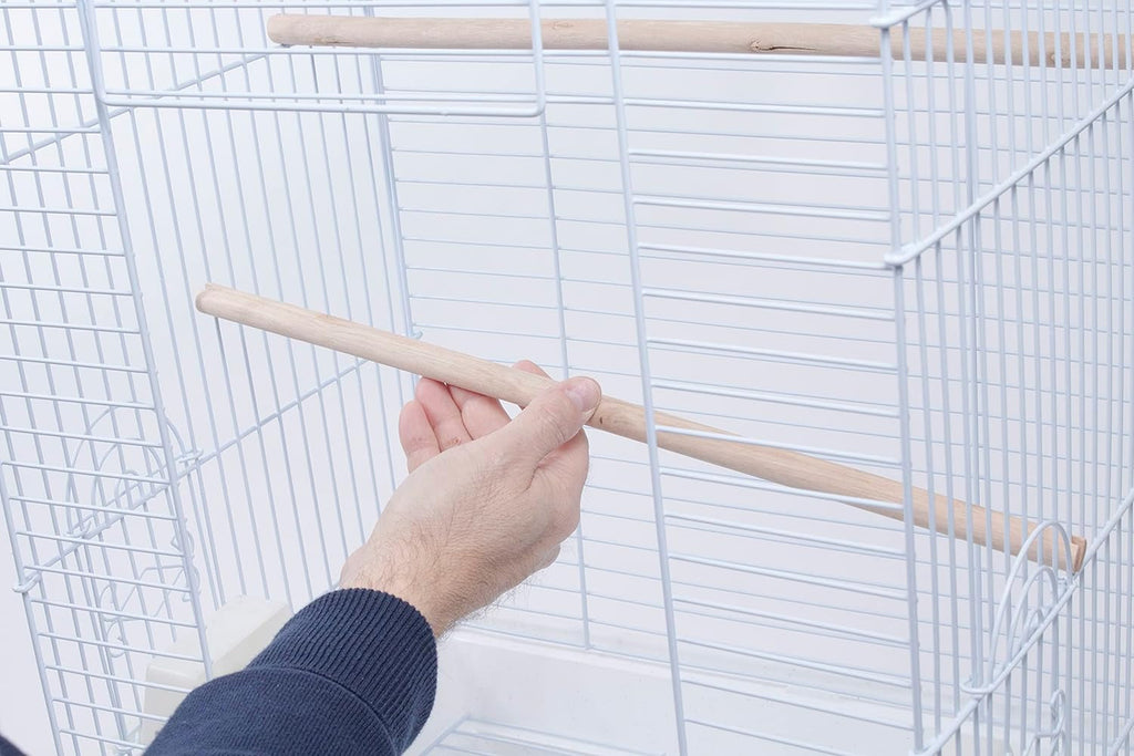 Cockatiel & Small Parrot Starter Kit