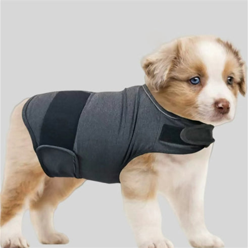 Dog Calming Vest