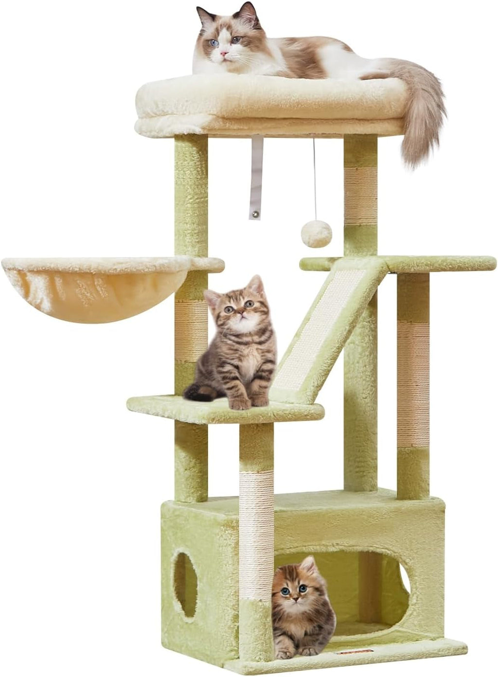 38-Inch Cat Tree for Cats | Kittens