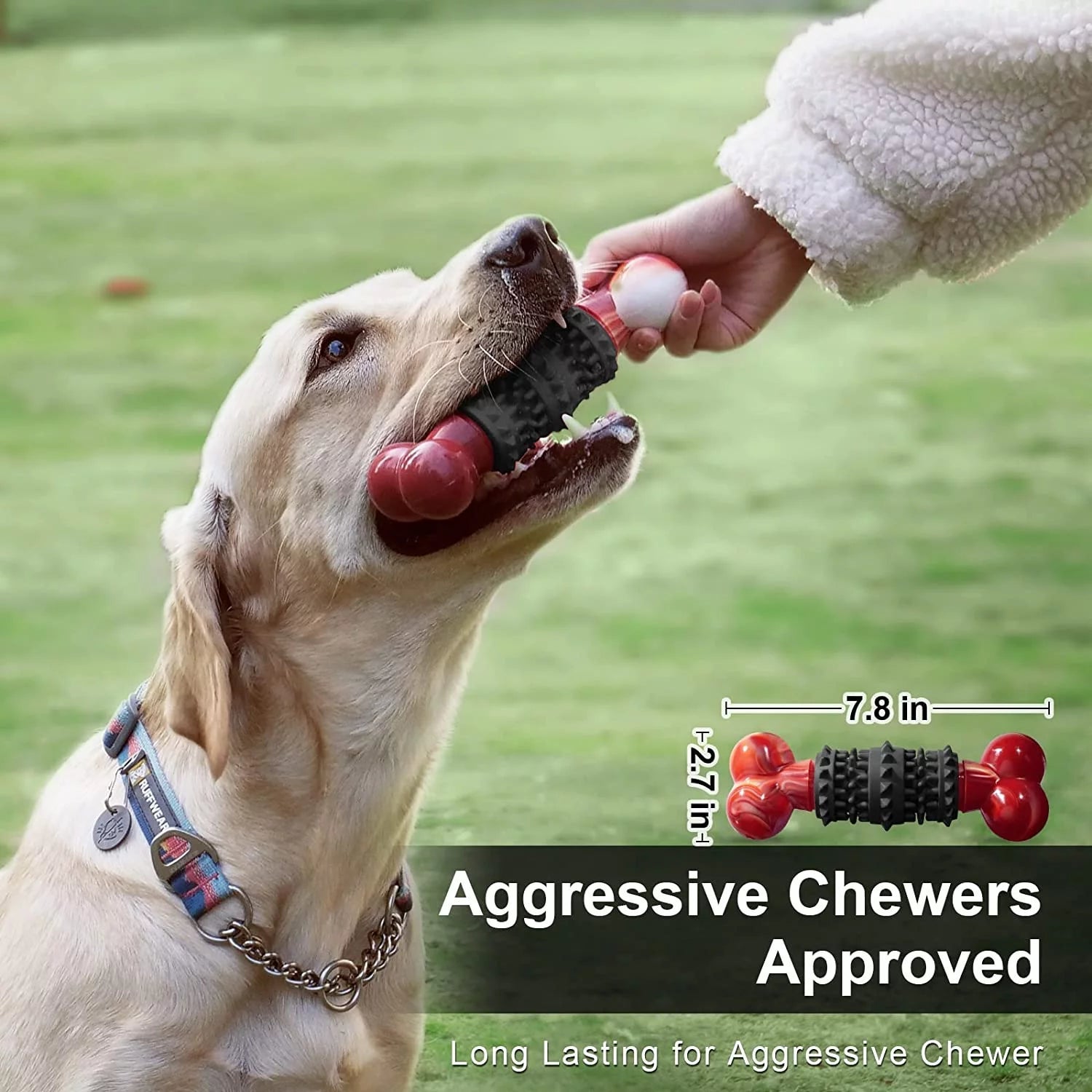 Dog  Bone for Aggressive Chewers