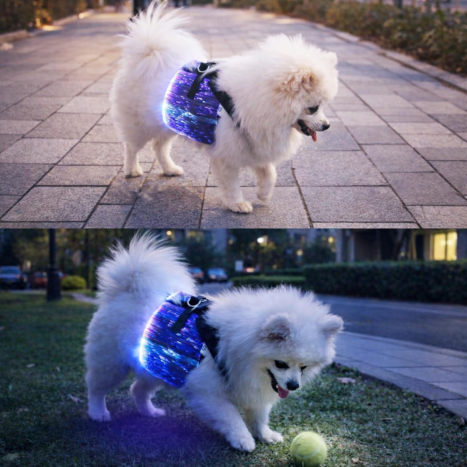 Light Up Fiber Optic Dog Harness with  Remote Control for Small Dogs/ Cats