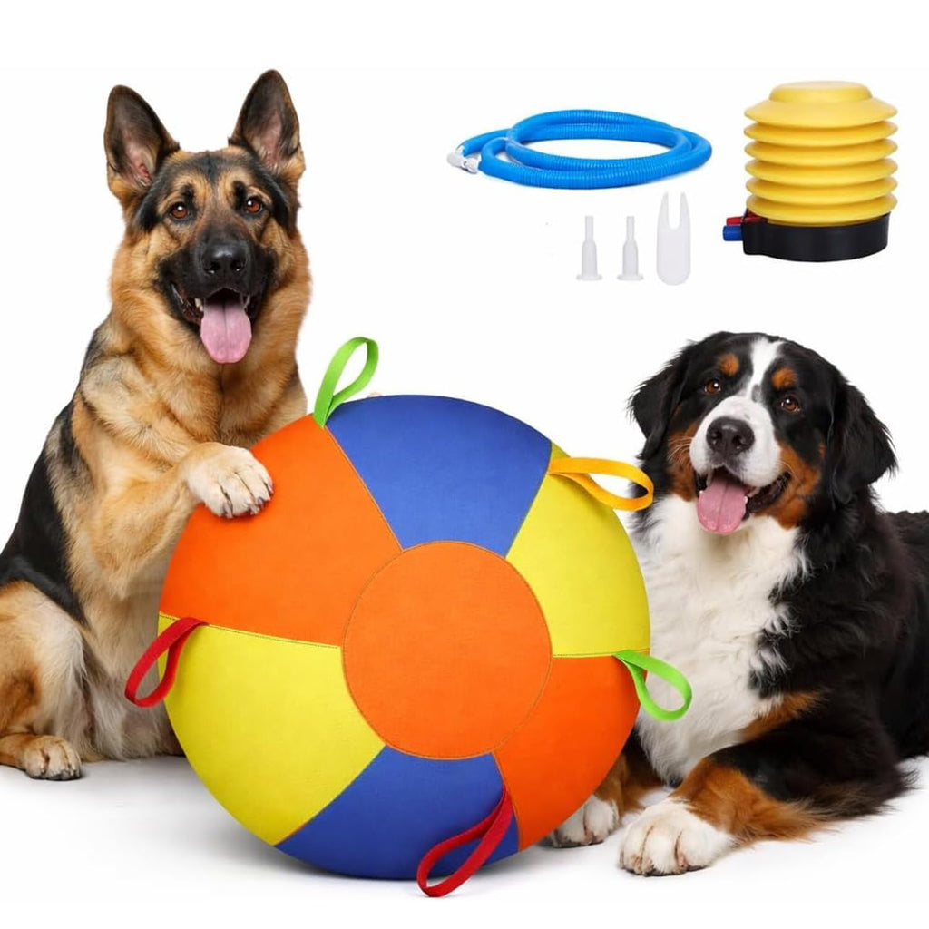Large Dog Ball With Handles