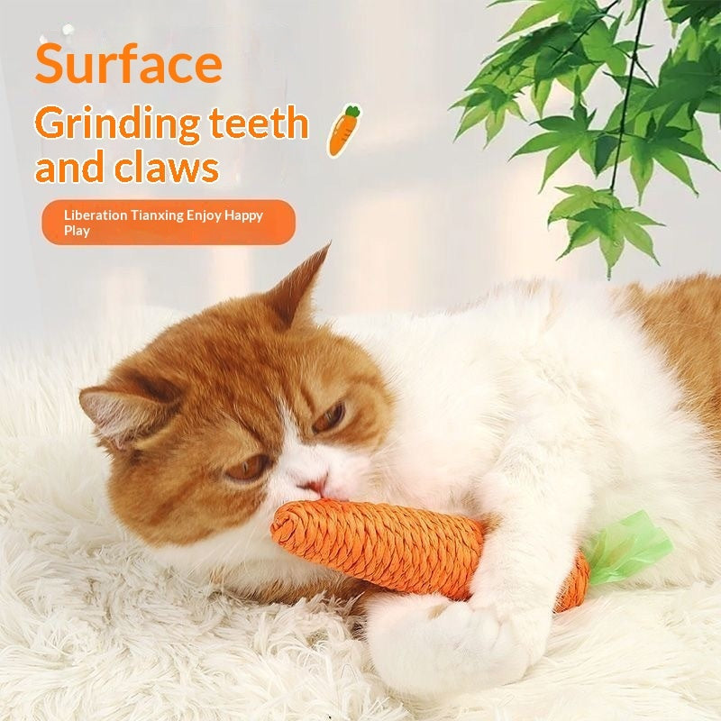 Cat Toy Gift Set