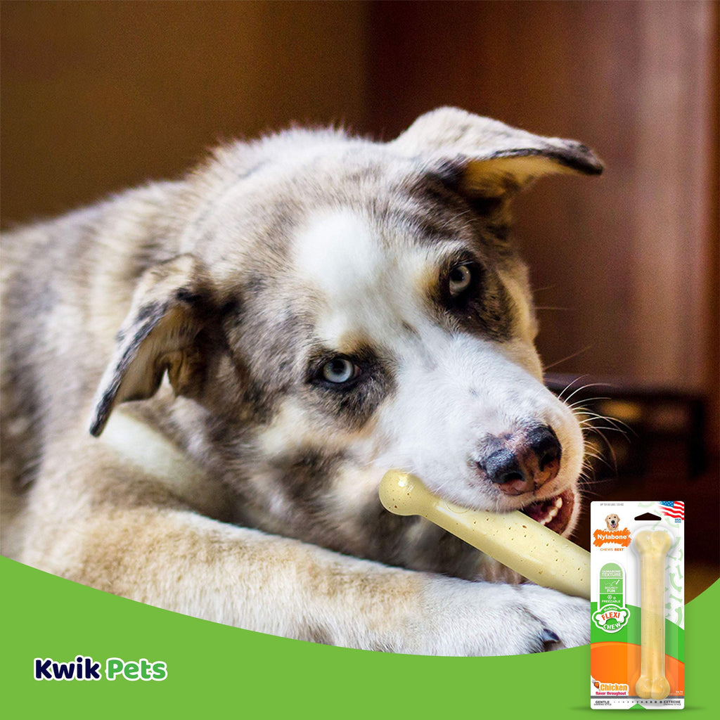 Flexichew Dental Bone for Large Dogs