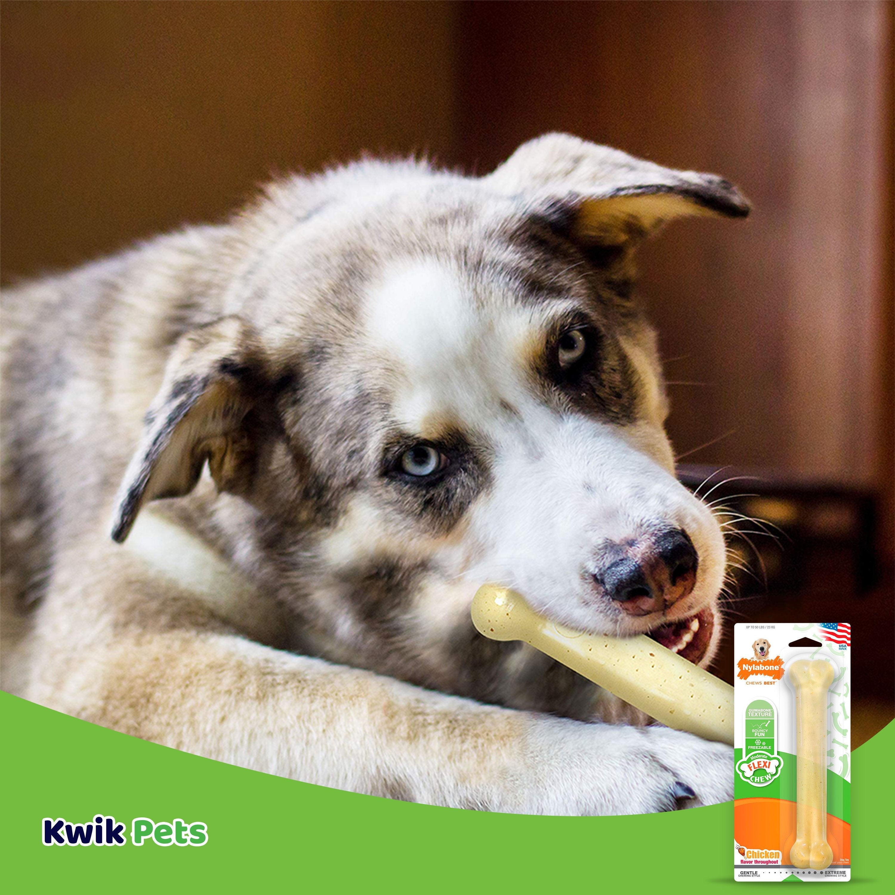 Flexichew Dental Bone for Large Dogs