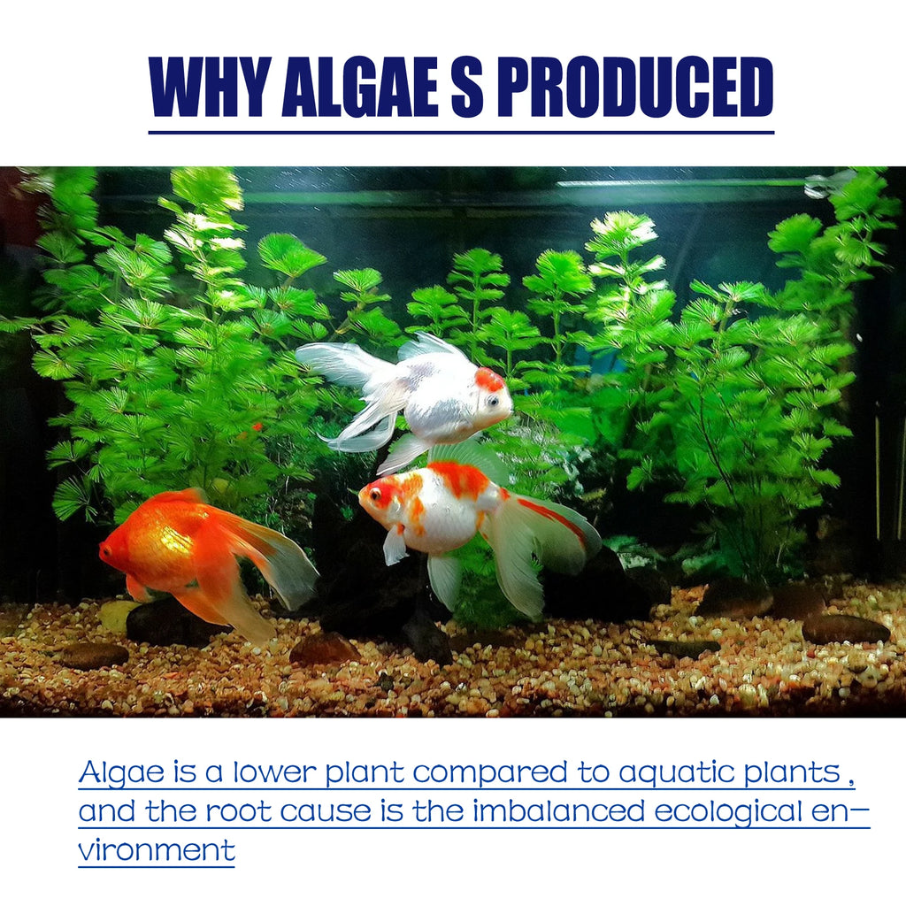 50G Aquarium Algae & Moss Remover