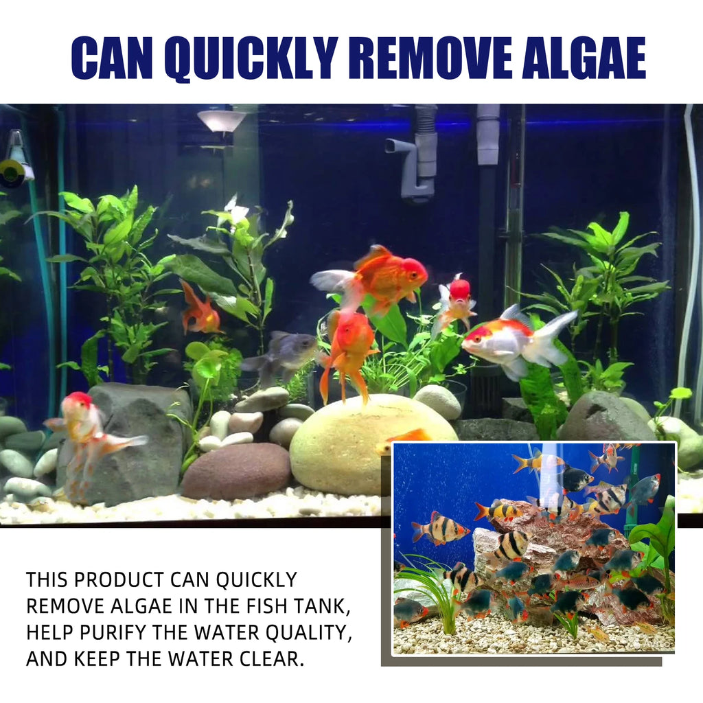 50G Aquarium Algae & Moss Remover