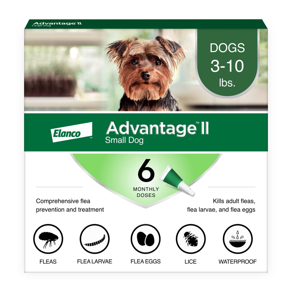 Flea Prevention for Small Dogs 3-10 Lbs / 6-Monthly Treatments