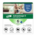 Vet-Recommended Flea Prevention for XL Dogs 55 Lbs+,
