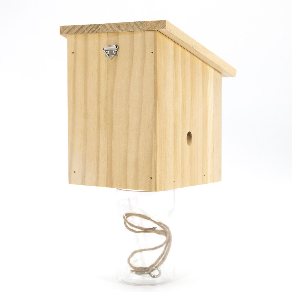 Durable Outdoor Carpenter Bee Trap