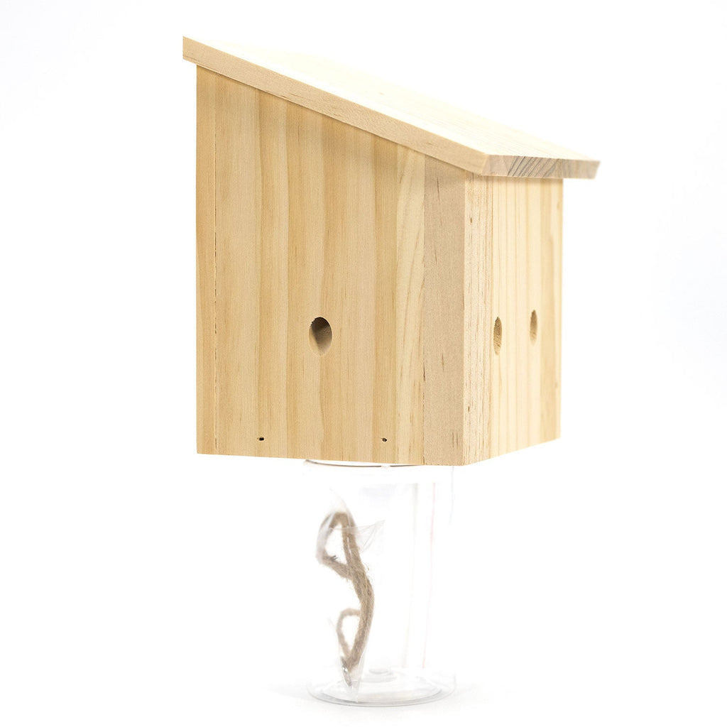 Durable Outdoor Carpenter Bee Trap
