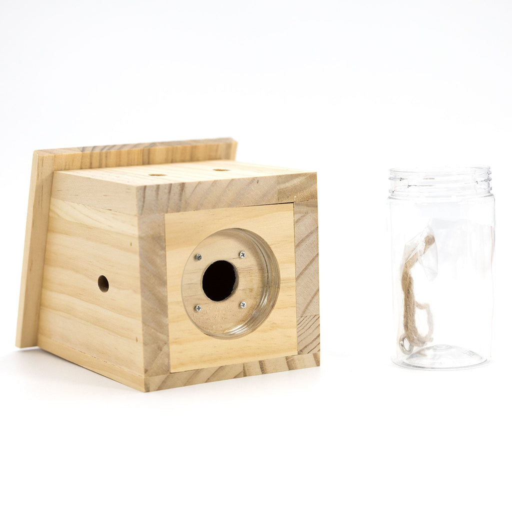 Durable Outdoor Carpenter Bee Trap