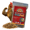 Black Soldier Fly Larvae for chickens