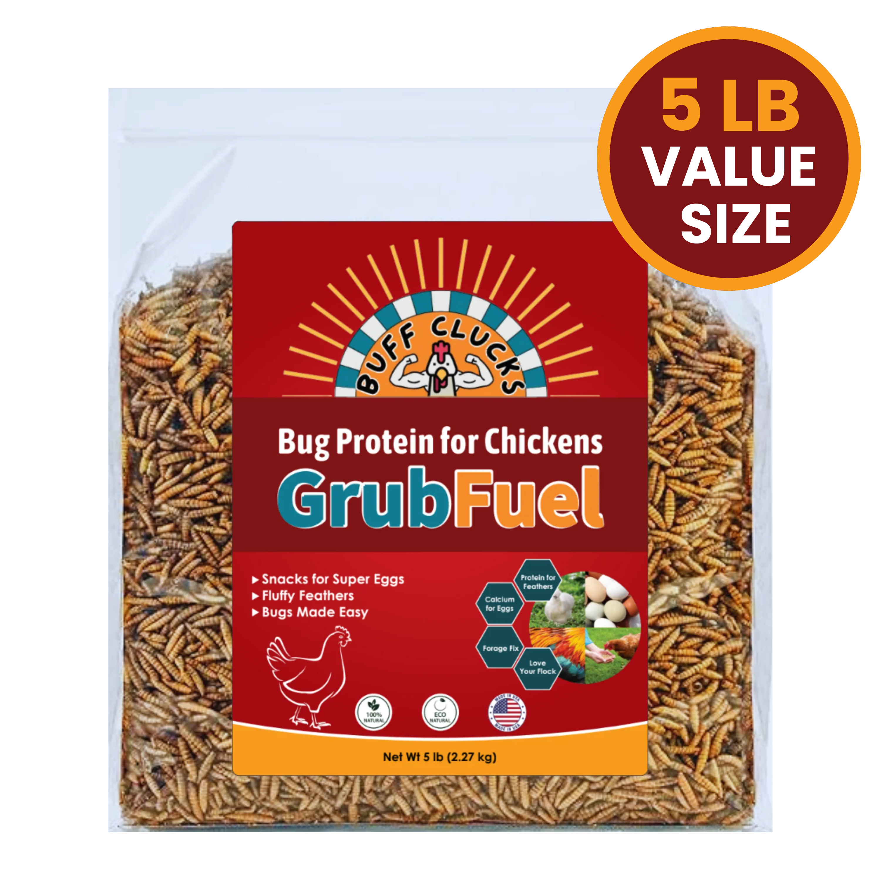 Black Soldier Fly Larvae for chickens