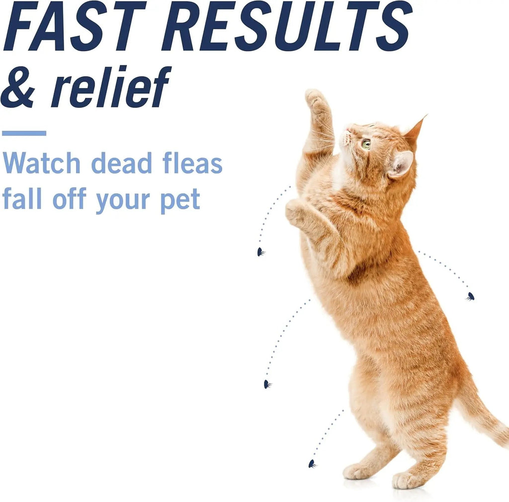 CAPACTION Oral Flea Tablets for Cats 2–25 lbs