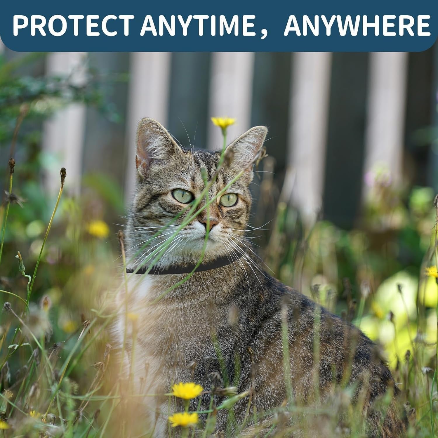 Flea Collar for Cats  /4 Pack